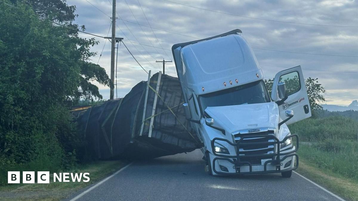 250 Million Honeybees Escape In Washington State Truck Overturn 250 Million Honeybees Escape In Washington State Truck Overturn