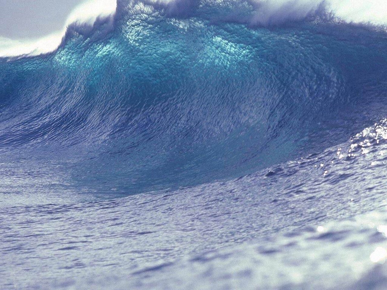 Analyzing Tsunami Risk In California: High-Casualty Scenarios Analyzing Tsunami Risk In California: High-Casualty Scenarios
