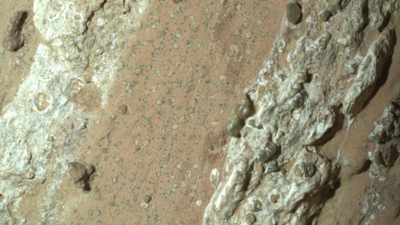 Ancient Life On Mars? NASA Finds Promising Signs In Martian Rock Sample Ancient Life On Mars? NASA Finds Promising Signs In Martian Rock Sample