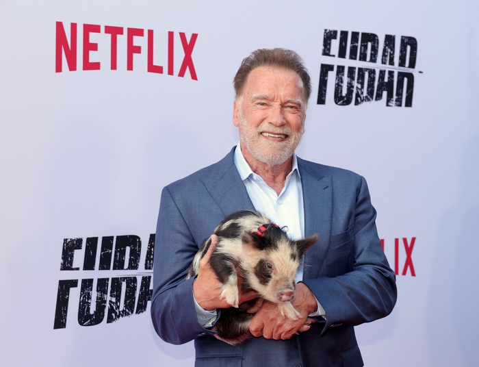 Arnold Schwarzenegger: From Governator To Hollywood Icon Arnold Schwarzenegger: From Governator To Hollywood Icon