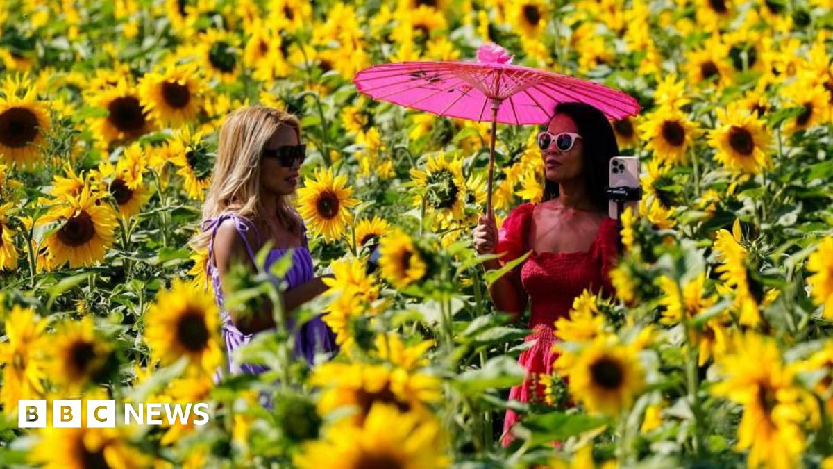 Bank Holiday Brings Scorching Temperatures To Parts Of The UK Bank Holiday Brings Scorching Temperatures To Parts Of The UK
