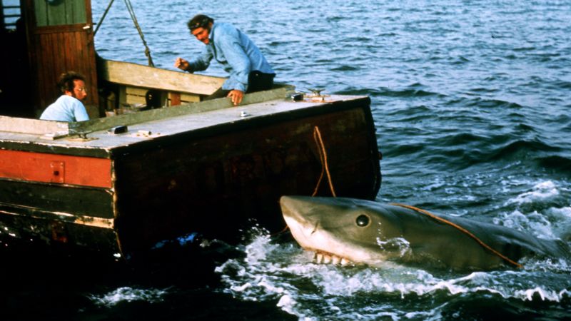 Beyond The Bite: How Jaws Transformed Our Perception Of Sharks And The Ocean Beyond The Bite: How Jaws Transformed Our Perception Of Sharks And The Ocean