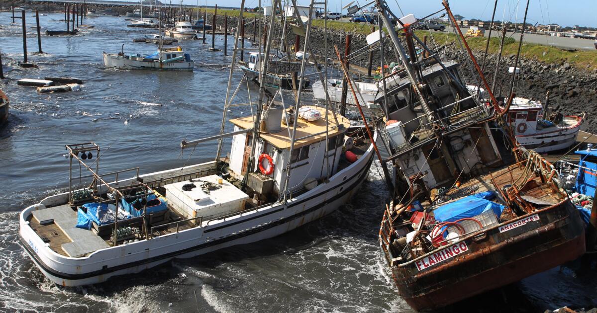 California Coastal Communities Face Tsunami Danger After Earthquake California Coastal Communities Face Tsunami Danger After Earthquake