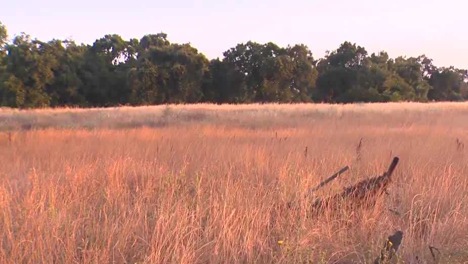 Check Now: Northern California Fire Restrictions And Burn Permit Status
