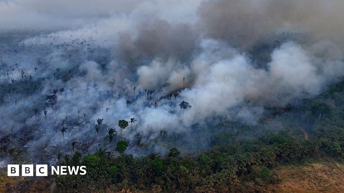 Climate Change Threat Intensifies: Fires Cause Unprecedented Destruction Of Tropical Forests Climate Change Threat Intensifies: Fires Cause Unprecedented Destruction Of Tropical Forests