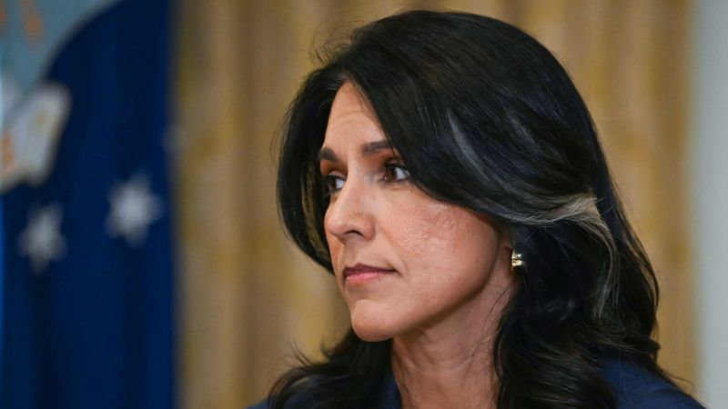 Conflicting Accounts: Gabbard's Claims On Russian Interference And The Trump Administration