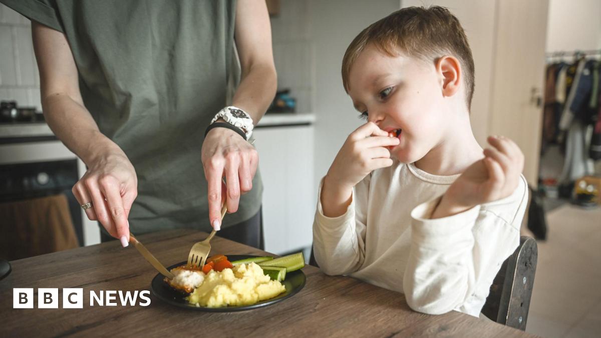 Conquer Fussy Eating: Expert Strategies For Stress-Free Mealtimes Conquer Fussy Eating: Expert Strategies For Stress-Free Mealtimes