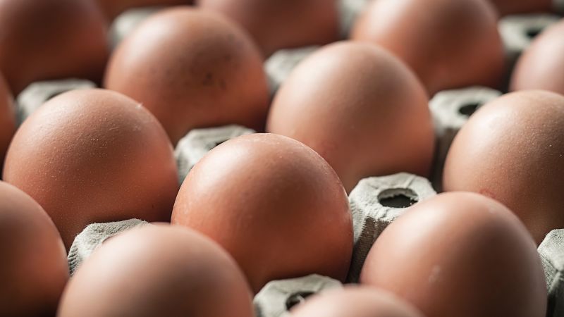 Egg-Related Salmonella Outbreak Spreads Across Seven States, Sickening Dozens Egg-Related Salmonella Outbreak Spreads Across Seven States, Sickening Dozens