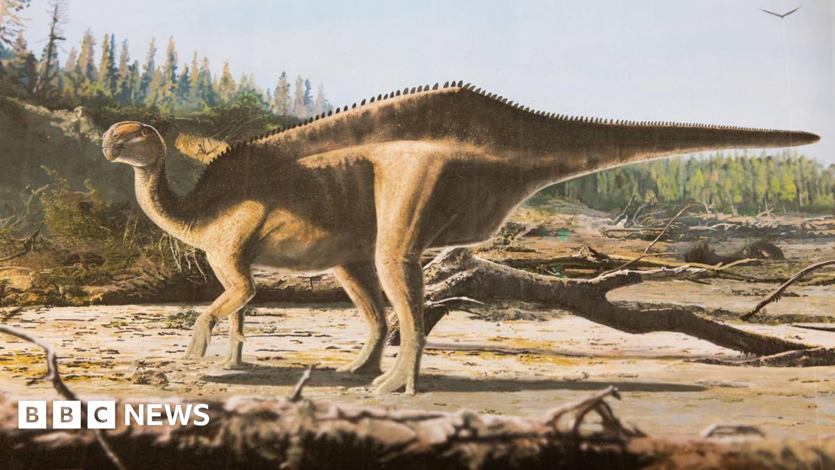 Ellen MacArthursaurus:  Scientists Name New Dinosaur After Sailing Legend