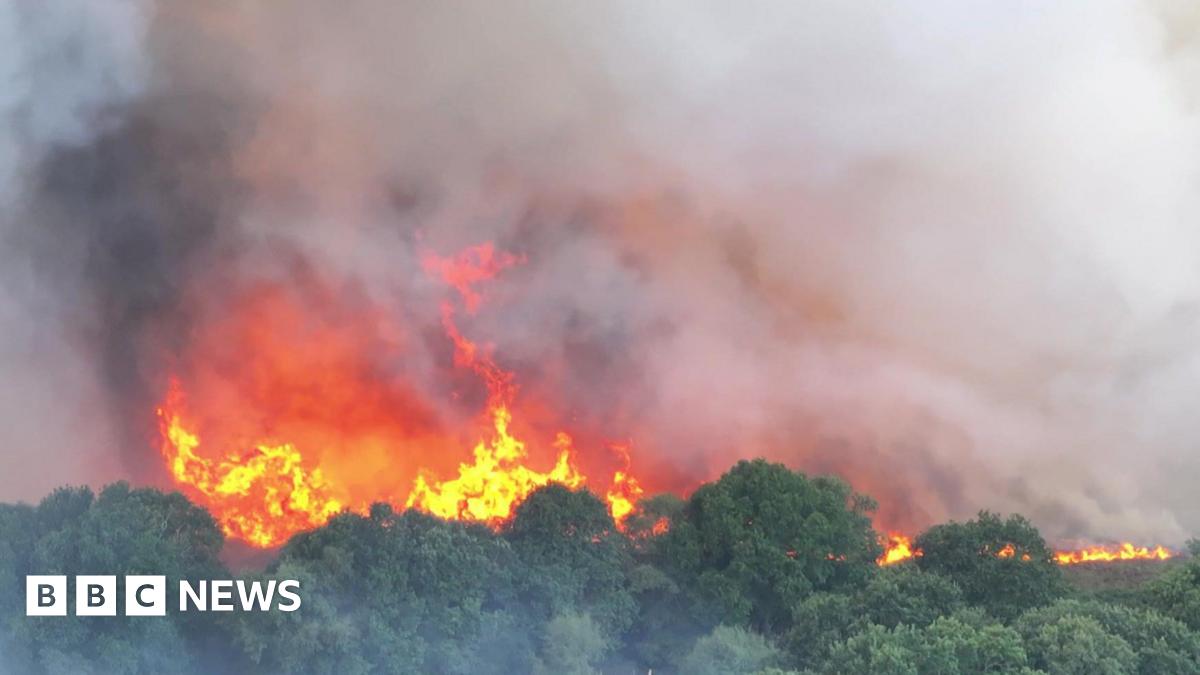 Emergency Services Respond To Multiple Dorset Wildfires