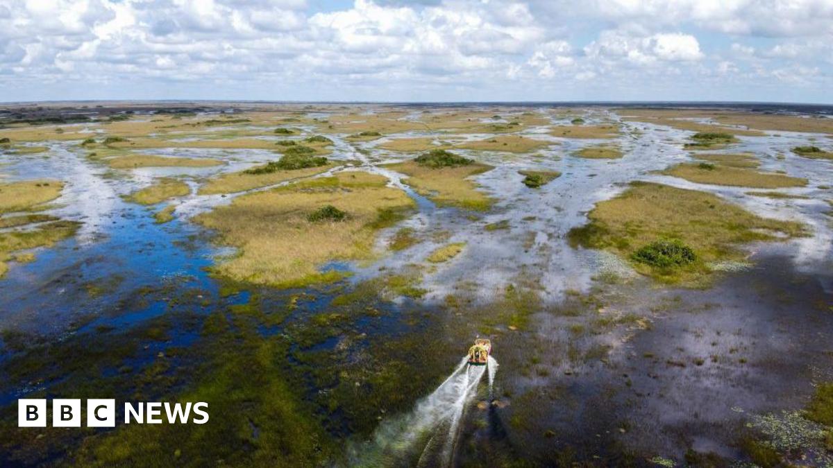 Environmental Concerns Raised Over Everglades Migrant Detention Center Environmental Concerns Raised Over Everglades Migrant Detention Center