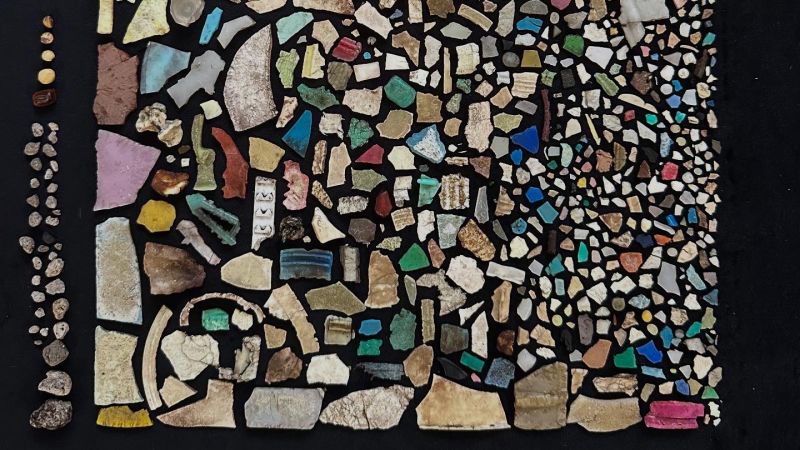 Environmental Crisis: Microplastics Threaten Island Bird Population Environmental Crisis: Microplastics Threaten Island Bird Population