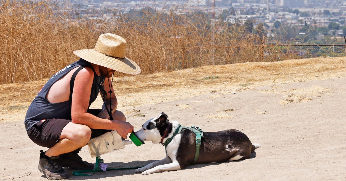 Excessive Heat Warning: Southwest Faces 110°F+ Heat Wave