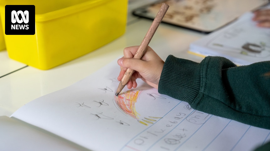 Extensive Investigation Launched Following Allegations Against Sydney Childcare Worker Extensive Investigation Launched Following Allegations Against Sydney Childcare Worker