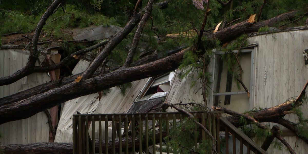 Extensive Tree Damage And Home Destruction Reported After Rowan County Storms Extensive Tree Damage And Home Destruction Reported After Rowan County Storms