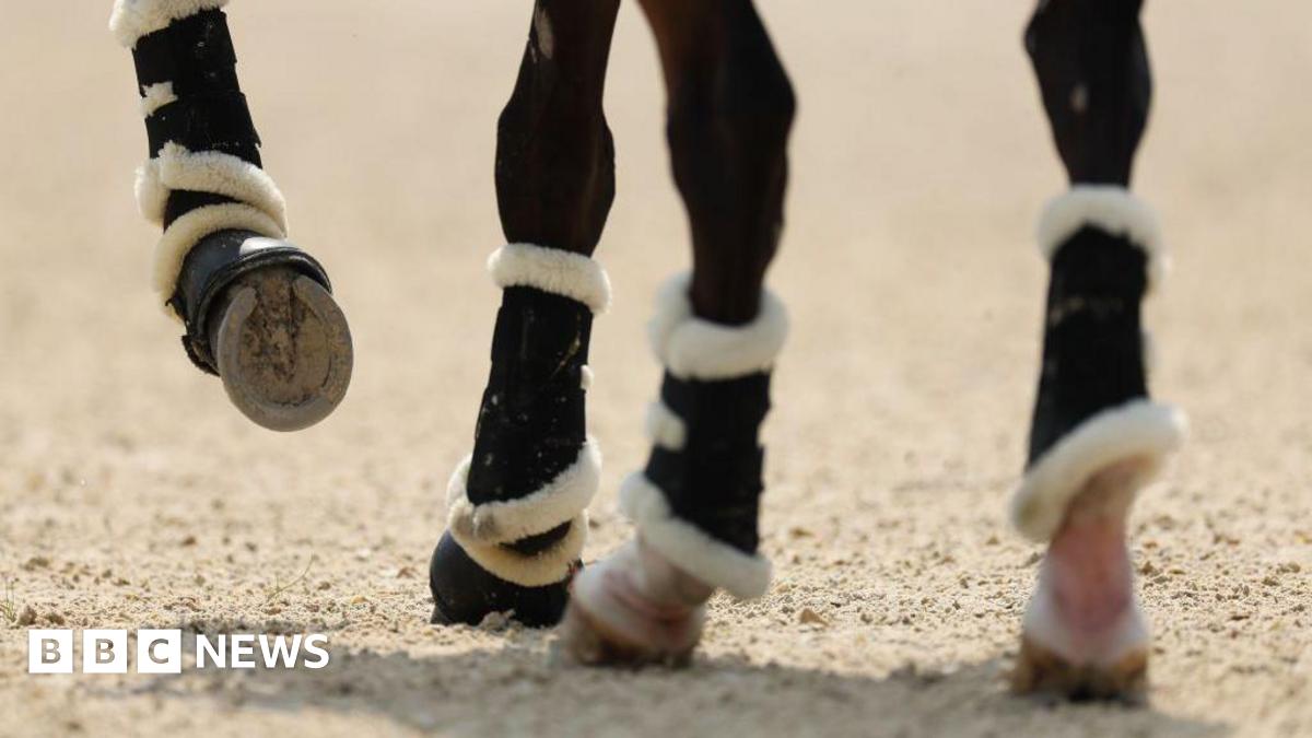 Fatal Accident At Northamptonshire Horse Event: Rider Loses Life After Fall