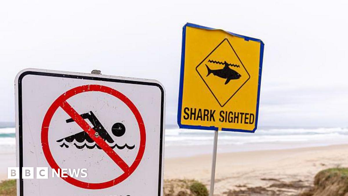 Fatal Shark Attack Confirmed In Sydney: One Dead Fatal Shark Attack Confirmed In Sydney: One Dead