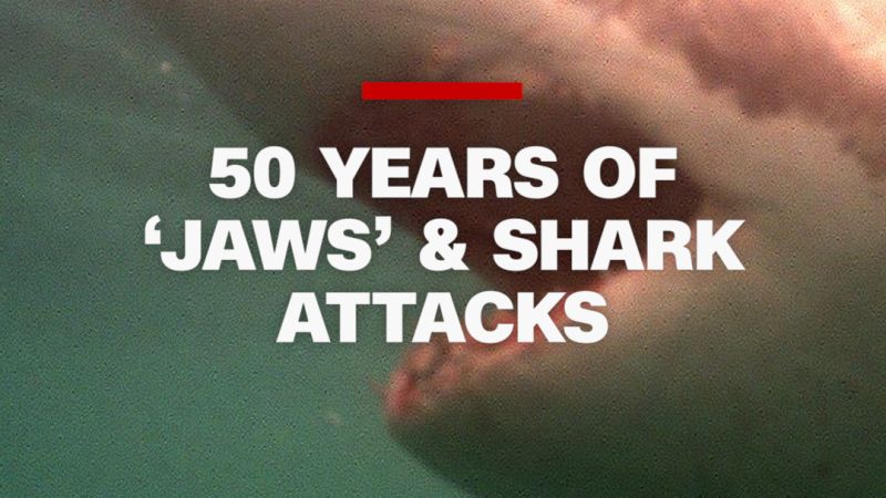 Fifty Years After Jaws: Separating Fact From Fiction In Shark Attack Statistics Fifty Years After Jaws: Separating Fact From Fiction In Shark Attack Statistics