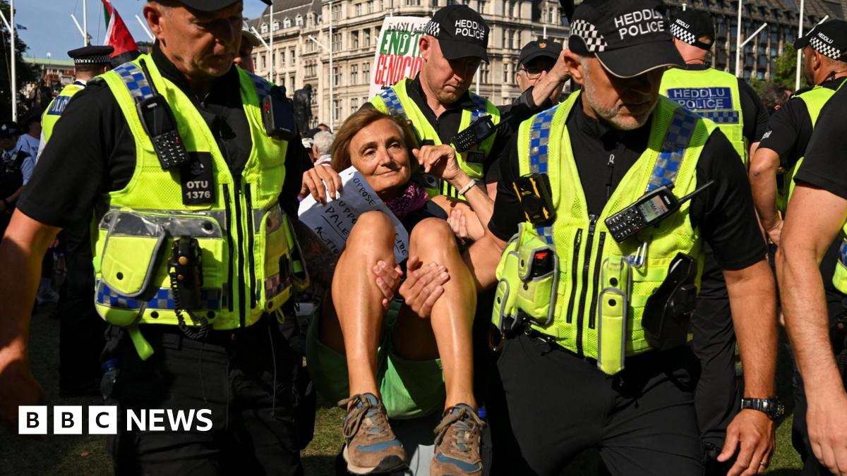 Future Of Palestine Action Uncertain Following Widespread Arrests