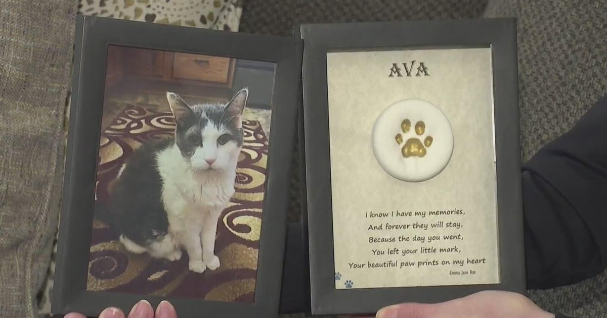 Grief And Remembrance: Memorial For Pets Affected By Funeral Home Error Grief And Remembrance: Memorial For Pets Affected By Funeral Home Error