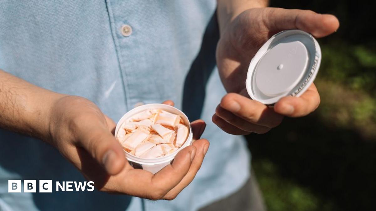 Gum And Tooth Damage: The Potential Dangers Of Nicotine Pouches And Snus Gum And Tooth Damage: The Potential Dangers Of Nicotine Pouches And Snus