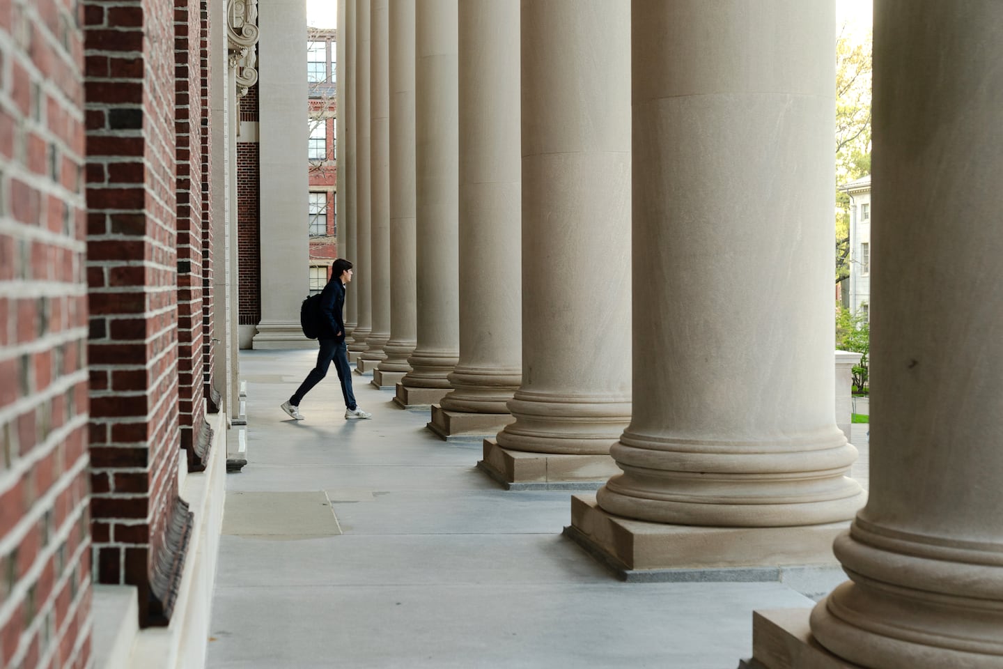 Harvard's Flaws And My Reasons For Choosing It Over Trump Harvard's Flaws And My Reasons For Choosing It Over Trump