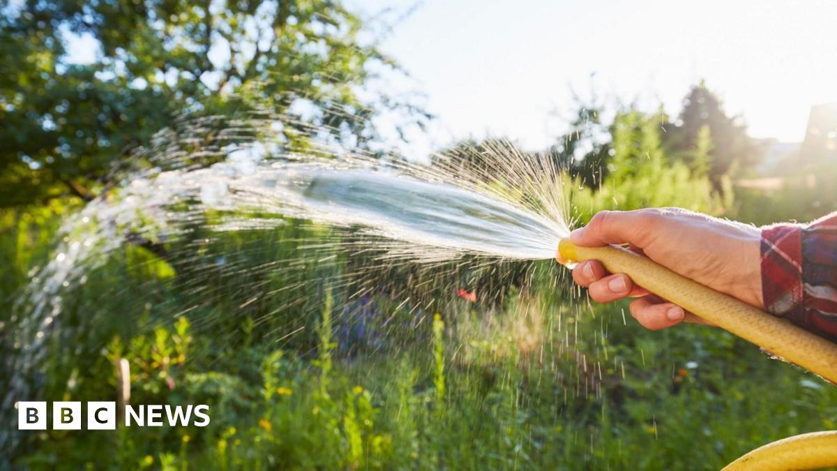 Hosepipe Ban: South East Water Restrictions Begin