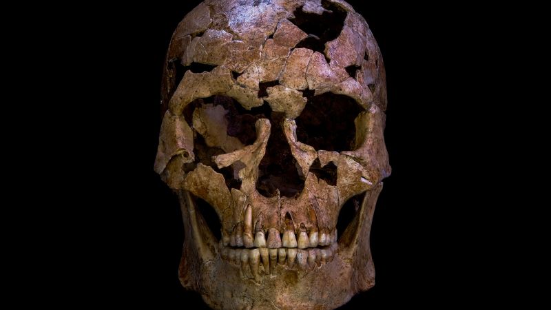 Ice Age Skeleton's Broken Neck: A Window Into Prehistoric Existence Ice Age Skeleton's Broken Neck: A Window Into Prehistoric Existence