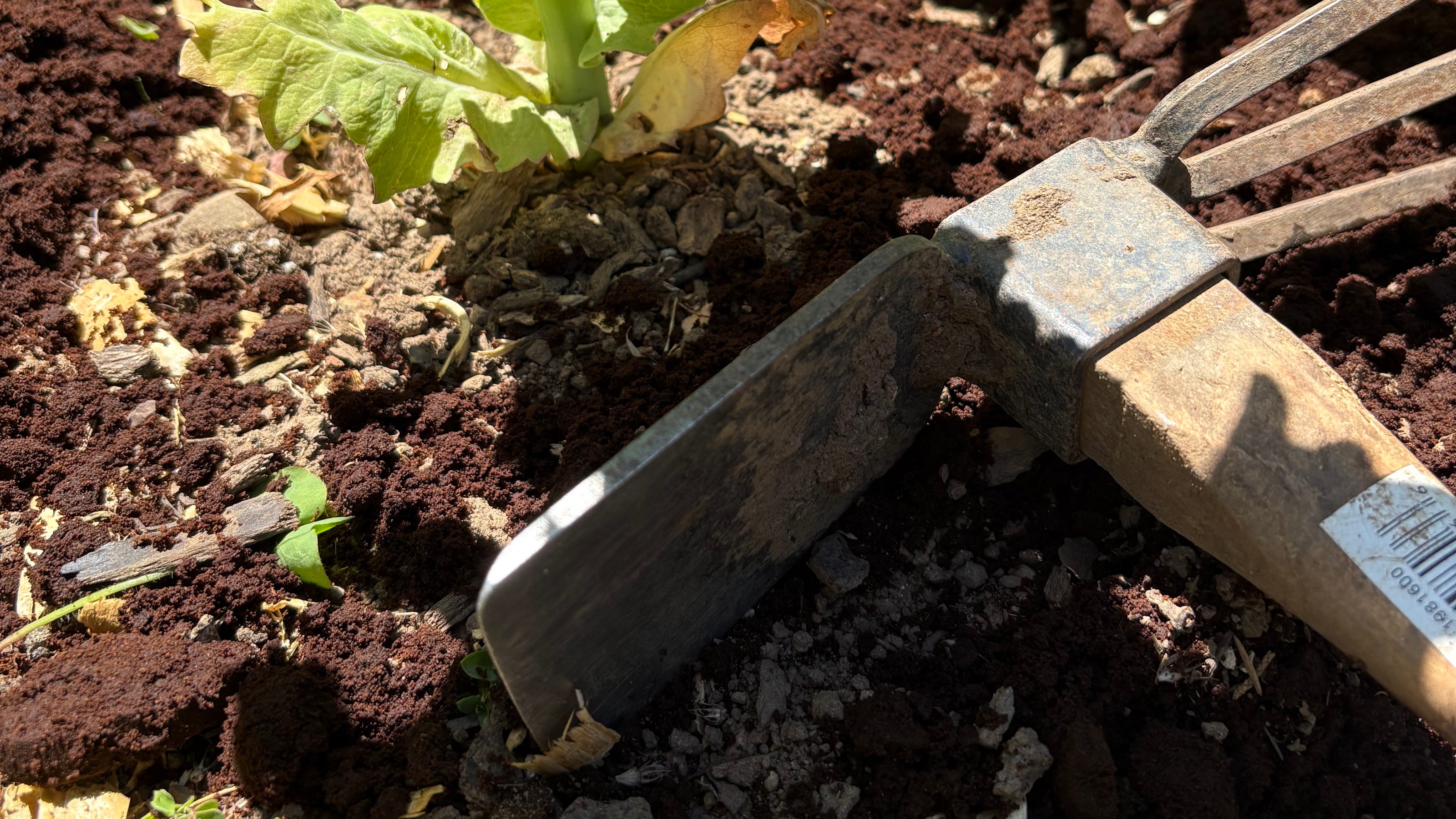 Improve Your Garden With Coffee Grounds: A Practical Approach Improve Your Garden With Coffee Grounds: A Practical Approach