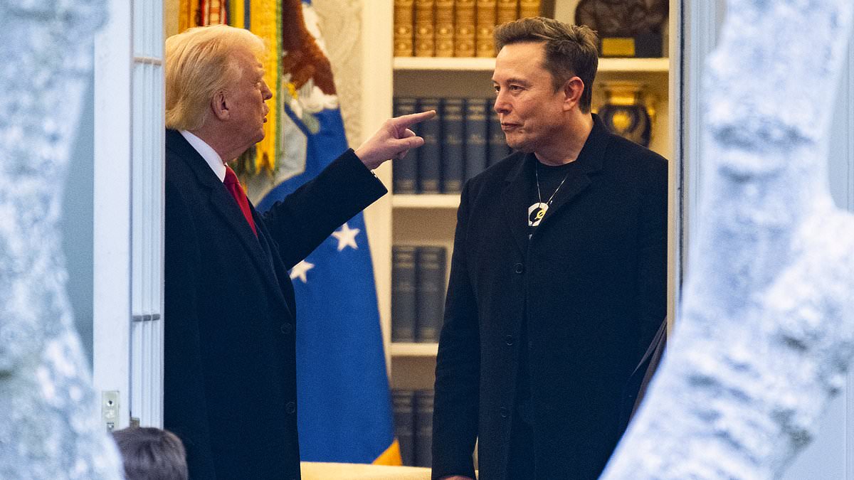 Influential Advisor: The Catalyst For Trump's Split With Elon Musk Influential Advisor: The Catalyst For Trump's Split With Elon Musk