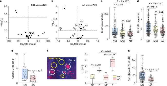 Investigating The Role Of Lithium In Alzheimer's Disease Prevention Investigating The Role Of Lithium In Alzheimer's Disease Prevention