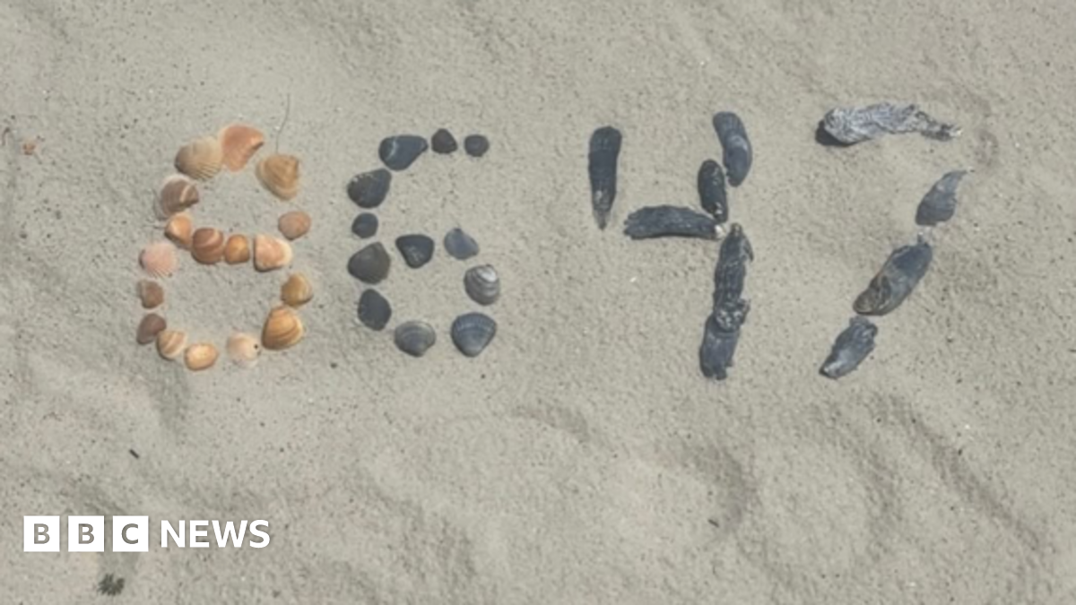 Investigation Deepens: James Comey Speaks To Secret Service On Trump's Seashell Photo Investigation Deepens: James Comey Speaks To Secret Service On Trump's Seashell Photo