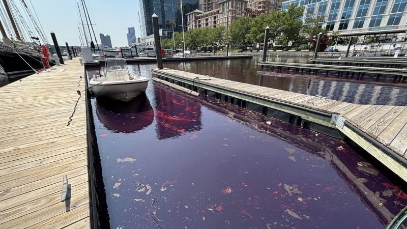 Investigation Launched After 2,000-Gallon Diesel Spill On Baltimore Waterfront Investigation Launched After 2,000-Gallon Diesel Spill On Baltimore Waterfront