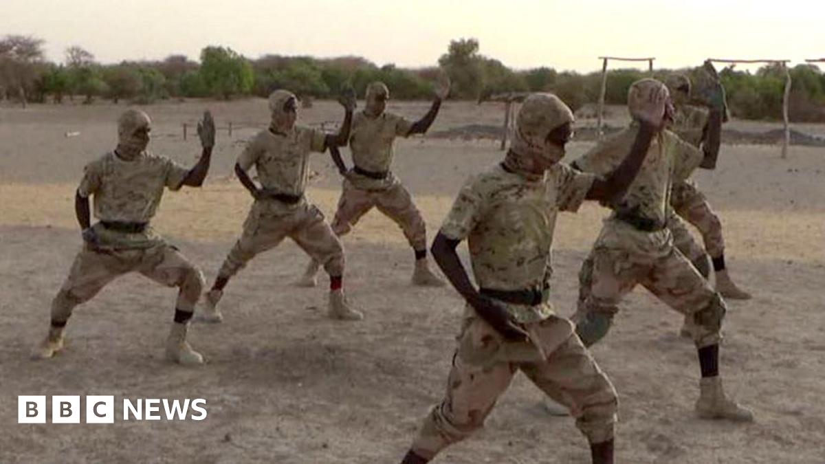 JNIM In Mali: Analyzing The Group's Tactics And Strategic Goals JNIM In Mali: Analyzing The Group's Tactics And Strategic Goals
