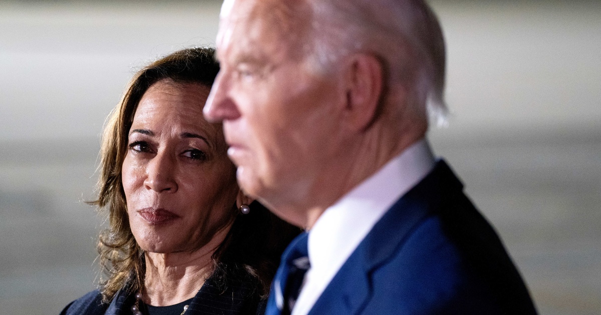 Kamala Harris On Biden's 2024 Bid: Concerns And Strategy