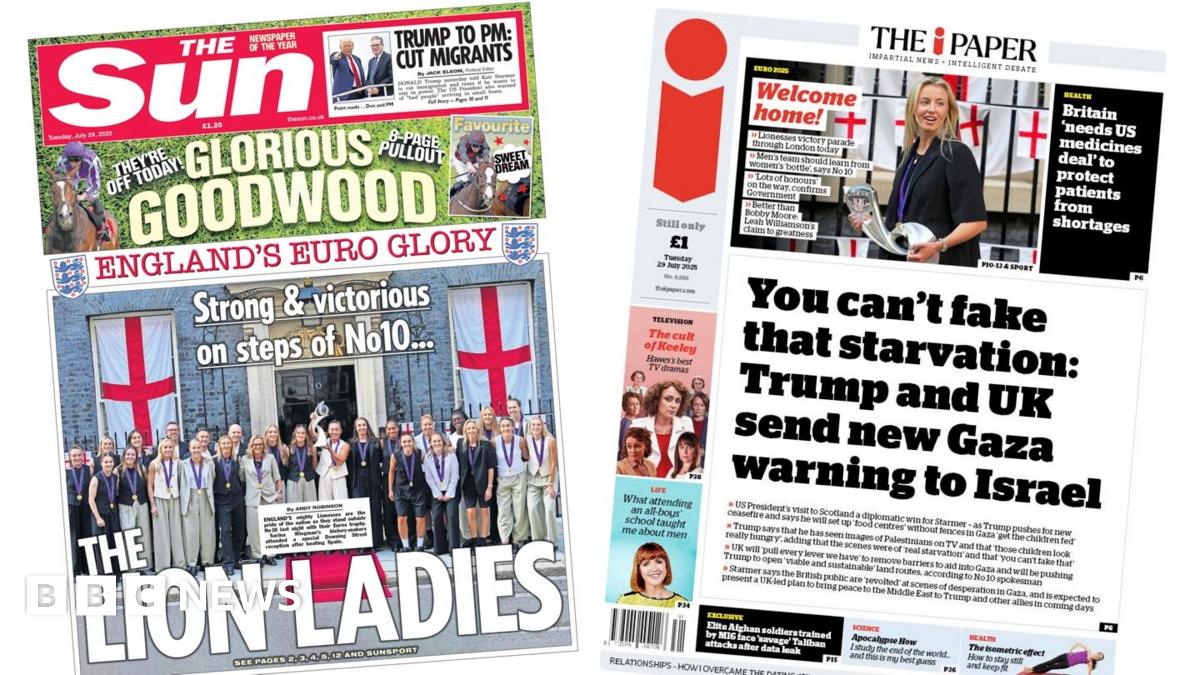 Lionesses And Famine: Exploring Powerful Newspaper Headlines