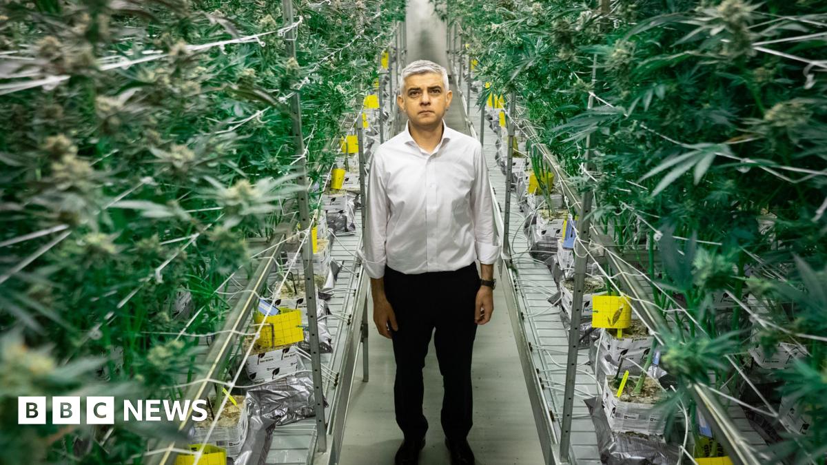 London Mayor's Backing Of Cannabis Decriminalisation Report Sparks Debate London Mayor's Backing Of Cannabis Decriminalisation Report Sparks Debate