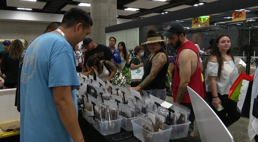 Made In Hawaii Festival: A Comprehensive Guide For Attendees