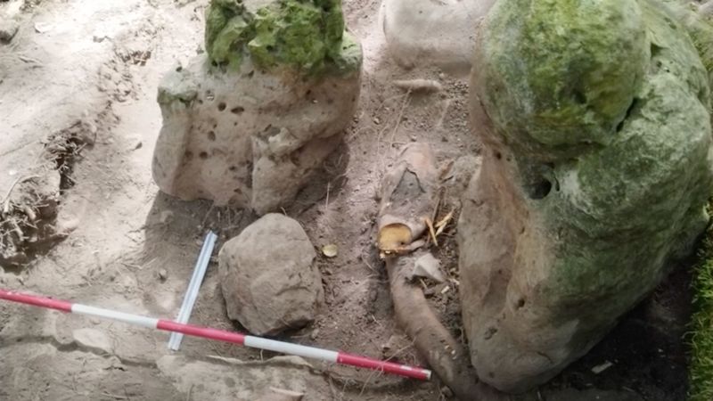 Major Archaeological Find: 3,000-Year-Old Mayan Complex Reveals Pyramids And Canal System Major Archaeological Find: 3,000-Year-Old Mayan Complex Reveals Pyramids And Canal System