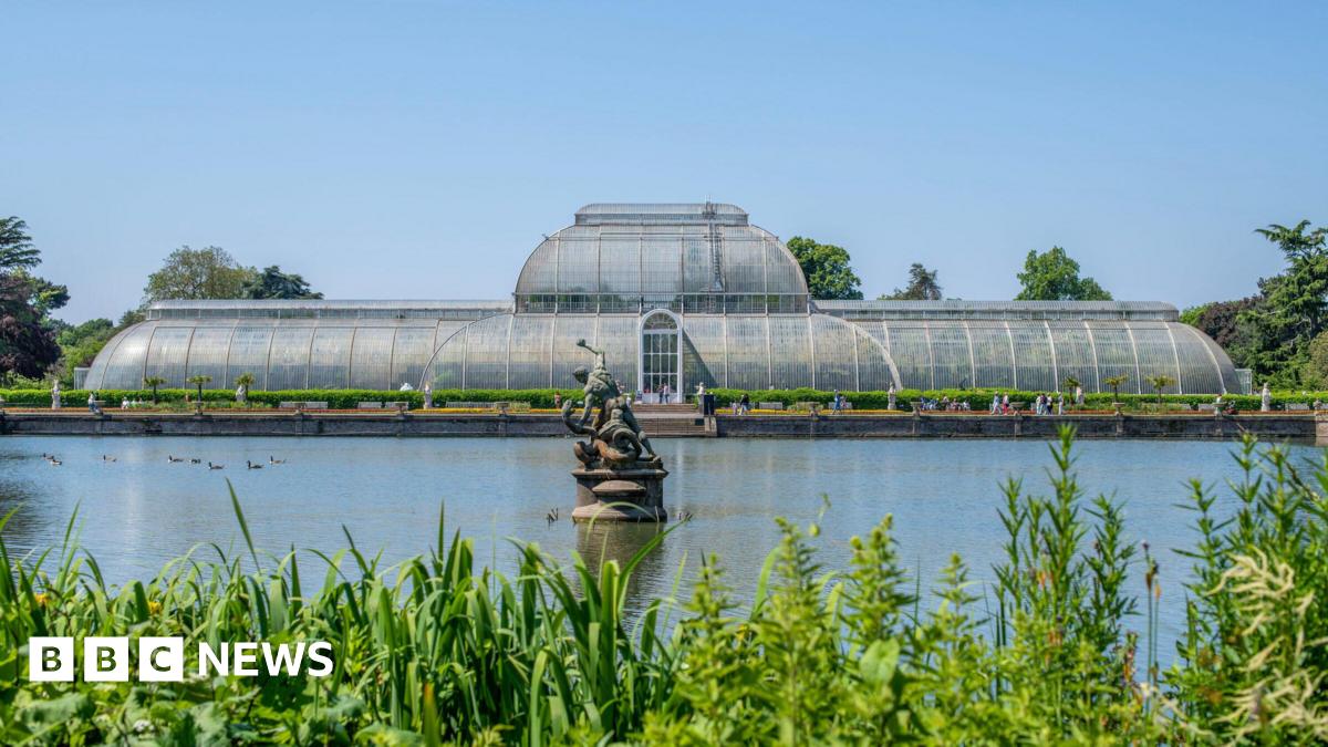 Major Restoration Project Begins At Kew Gardens Palm House Major Restoration Project Begins At Kew Gardens Palm House