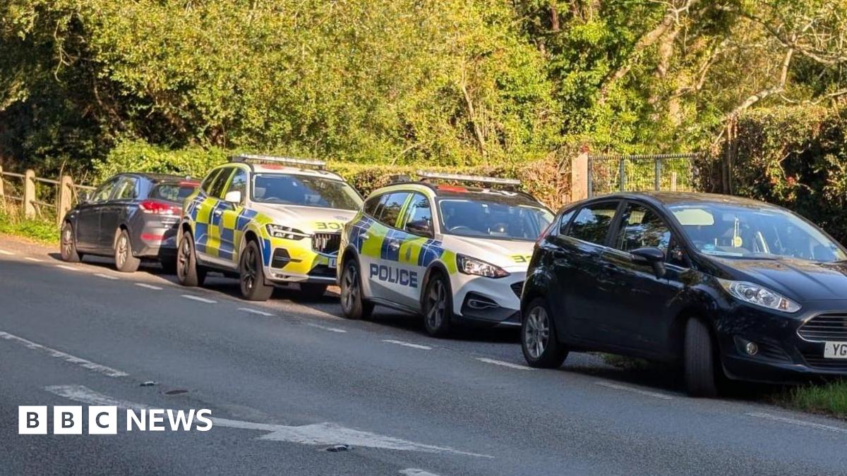 Man Falls From Virgin Hot Air Balloon In West Sussex: Investigation Underway
