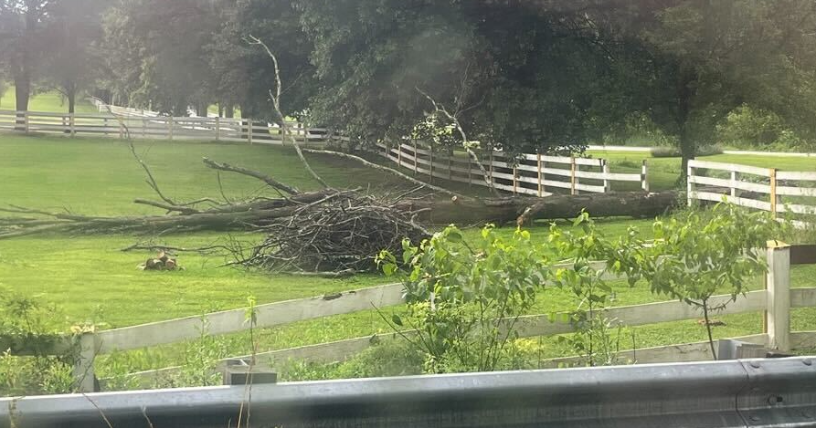 Maryland Residents Face Aftermath Of Devastating Storms: Power And Property Losses Maryland Residents Face Aftermath Of Devastating Storms: Power And Property Losses