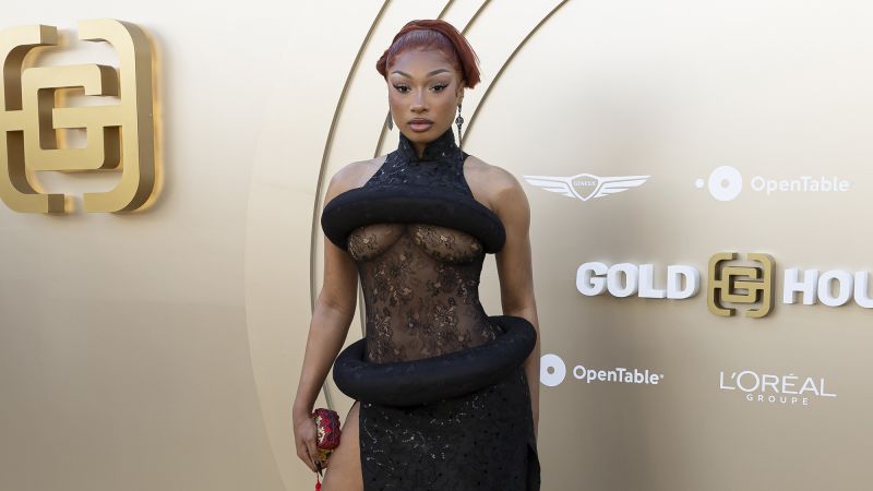 Megan Thee Stallion's Bold Qipao: A Style Statement Megan Thee Stallion's Bold Qipao: A Style Statement