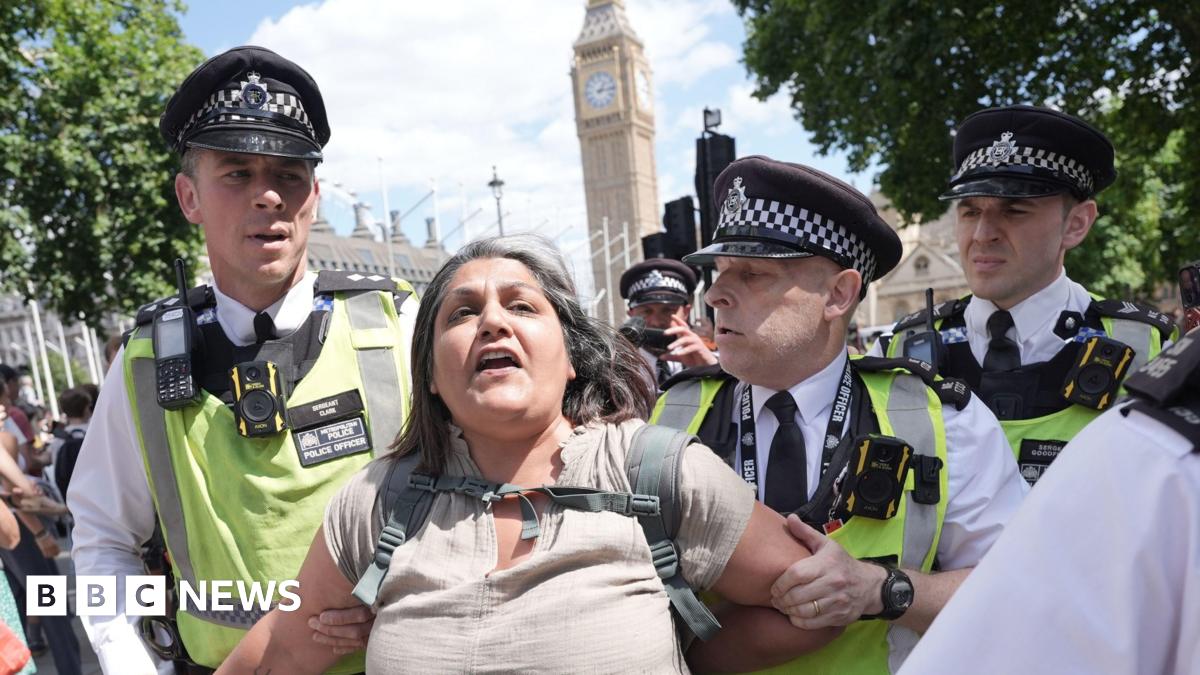 Multiple Arrests Made During Palestine Action Demonstrations Multiple Arrests Made During Palestine Action Demonstrations