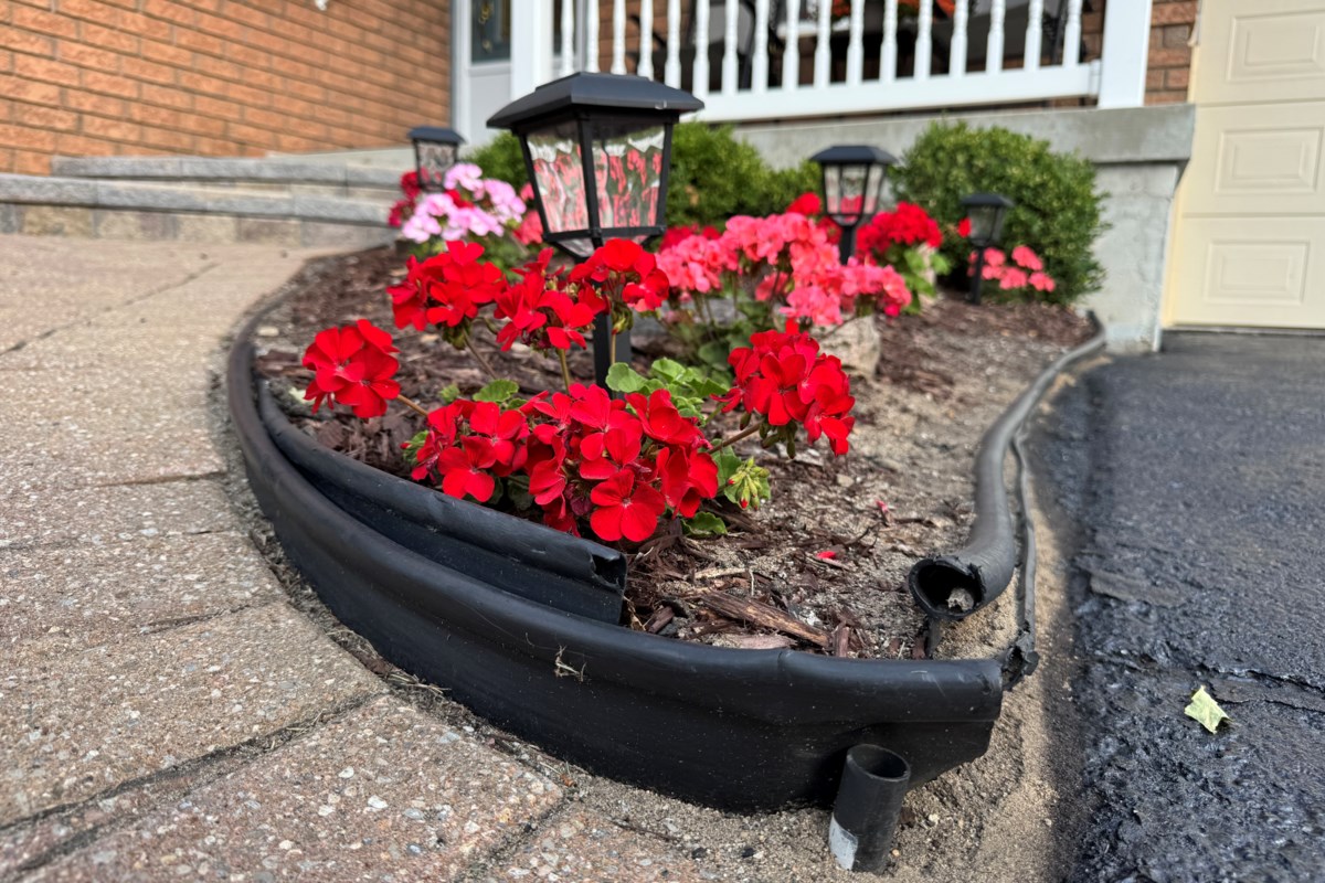 Orillia Forecast: What To Expect Today Orillia Forecast: What To Expect Today
