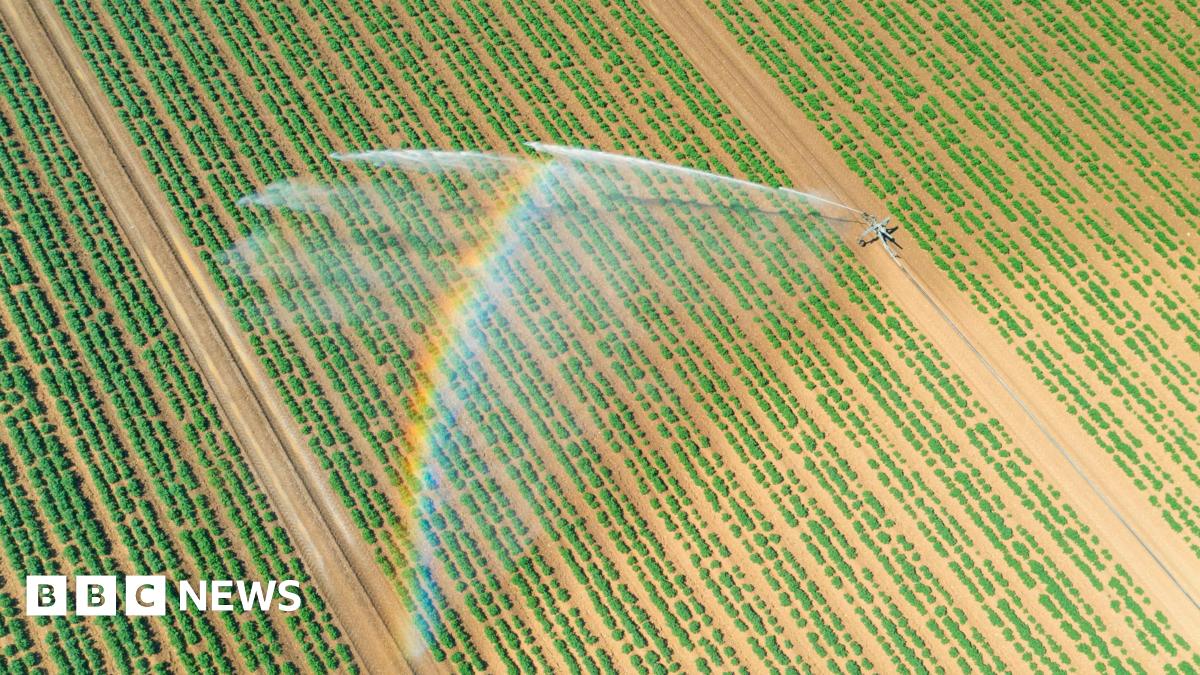 Over 150 English Farms Fined For Illegal Water Use Over 150 English Farms Fined For Illegal Water Use