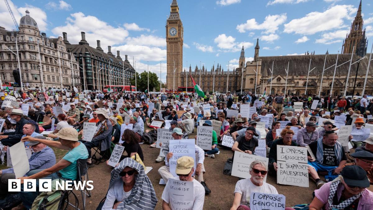 Palestine Action: Over 500 Arrested In Recent Protests Palestine Action: Over 500 Arrested In Recent Protests