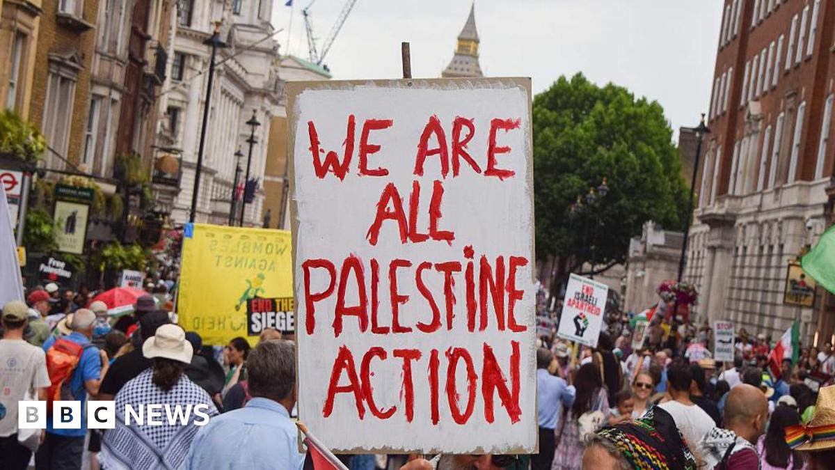 Palestine Action Protest In London: Met Police Chief Expresses Shock Palestine Action Protest In London: Met Police Chief Expresses Shock