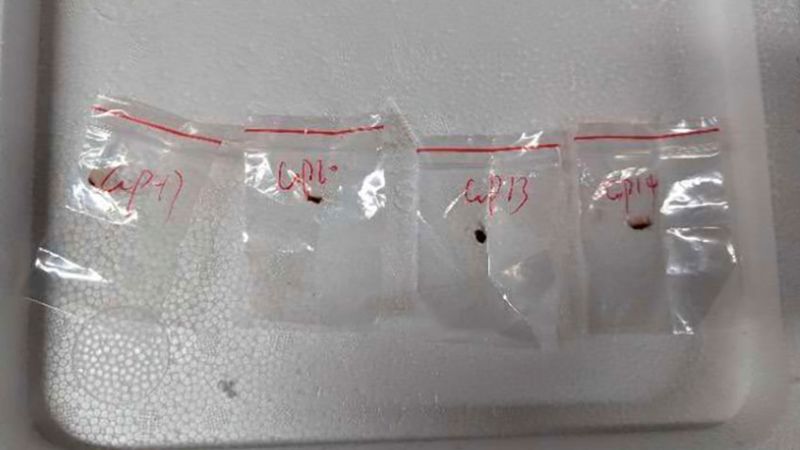 Pathogen Smuggling Investigation: University Of Michigan And Two Chinese Researchers Pathogen Smuggling Investigation: University Of Michigan And Two Chinese Researchers