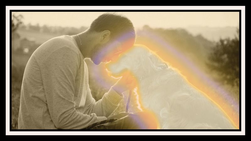 Pawprints And Prayers: How Pets Enhance Our Spiritual Lives Pawprints And Prayers: How Pets Enhance Our Spiritual Lives